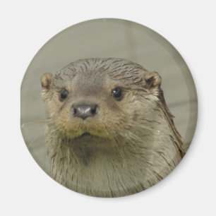 Riesiger Fluss-Otter-Magnet Magnet