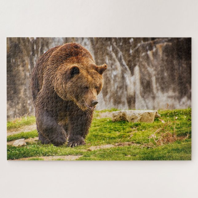 Riesiger Grizzlybär im Wildtier Puzzle (Horizontal)