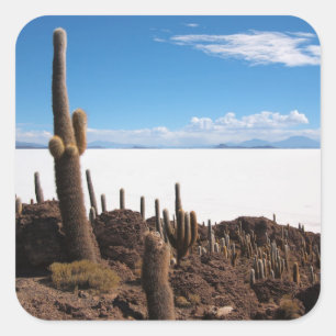 Riesiger Kaktus am Fotoaufkleber Salars de Uyuni Quadratischer Aufkleber