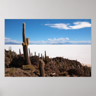 Riesiger Kaktus am Plakatdruck Salars de Uyuni Poster