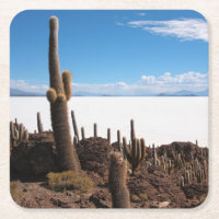 Riesiger Kaktus am Untersetzer Salars de Uyuni
