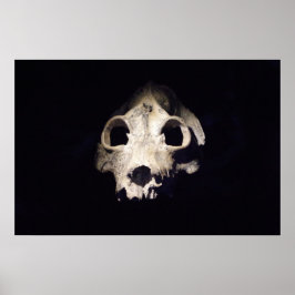 Riesiger Lemur Poster