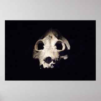 Riesiger Lemur Poster