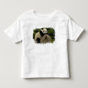 Riesiger Panda-Baby Kleinkind T-shirt