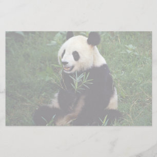 Riesiger Panda, Sichuan-Provinz, China Briefpapier