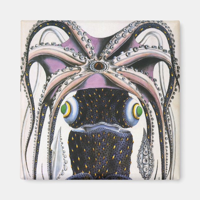 Riesiger Tintenfisch oder Oktopus, altes Meerestie Magnet (Vorne)