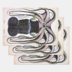 Riesiger Tintenfisch oder Oktopus, Vintage Meeresl Geschenkpapier Set