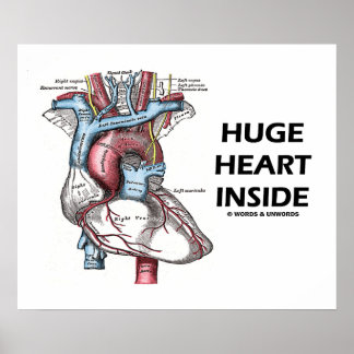 Riesiges Herzinnern (anatomisches Herz) Poster