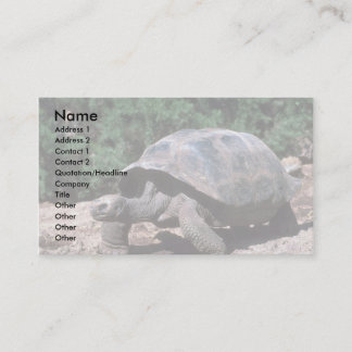 Riesiges kuppelförmiges Schildkröten-Gehen Visitenkarte