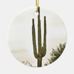 Riesiges Saguaro Sonoran Wüsten-Porträt Keramikornament
