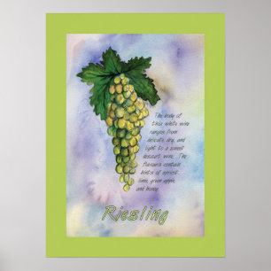 Riesling Weintrauben Poster