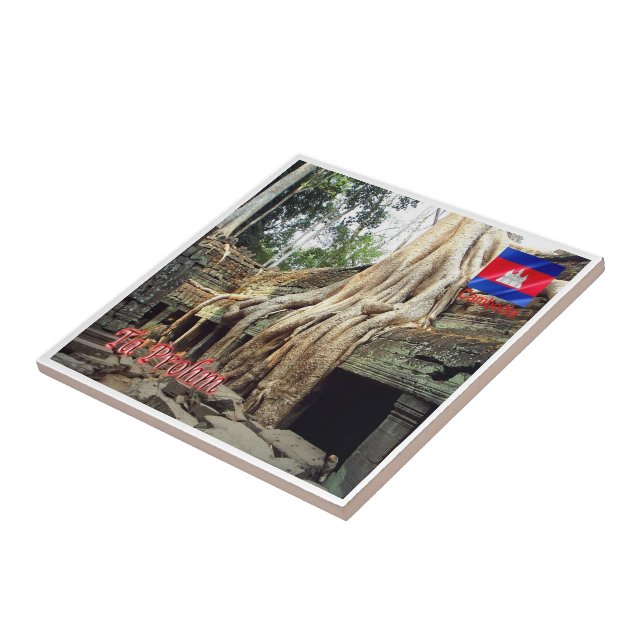 Rif. KH Kambodscha, Ta Prohm Fliese (Seite)