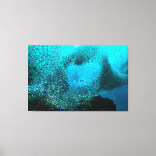 Riff-Fisch-Wolke Leinwanddruck