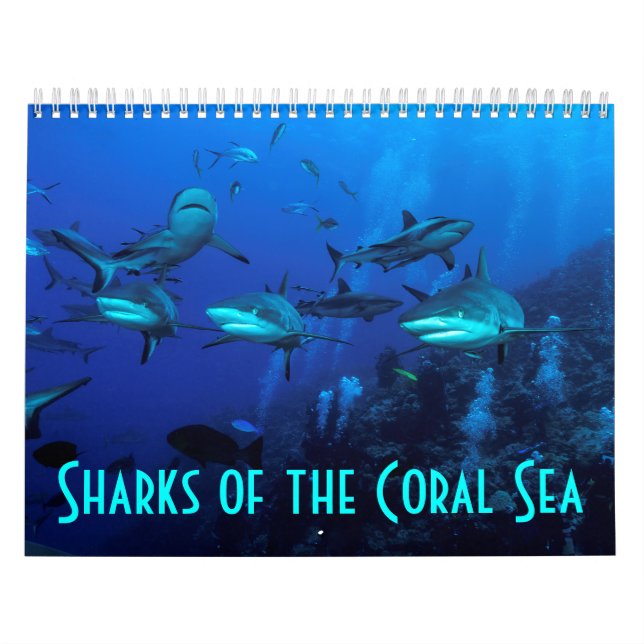 Riff-Haifisch-Great Barrier Reef Korallenmeer Kalender (Titelbild)
