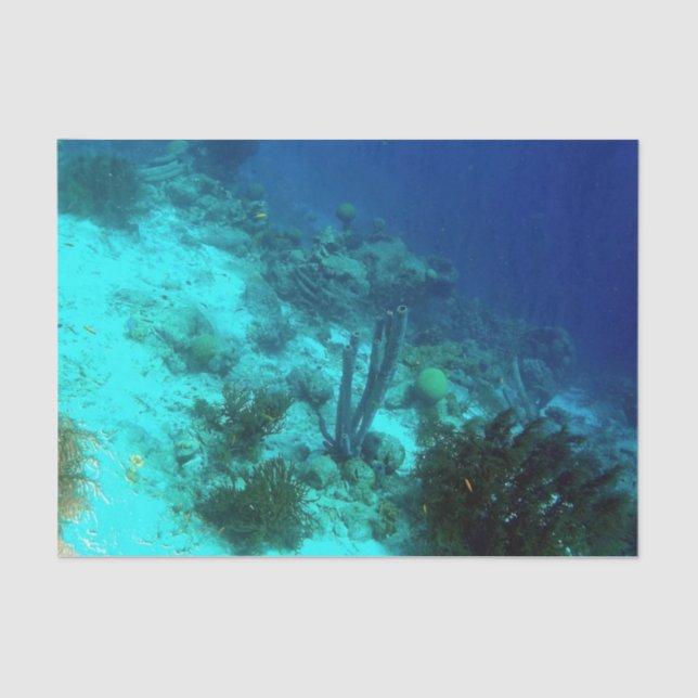 Riff-Rand Seidenpapier (Vorderseite)