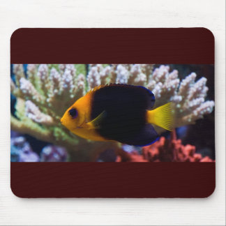 Riff-Ruhe Mousepad