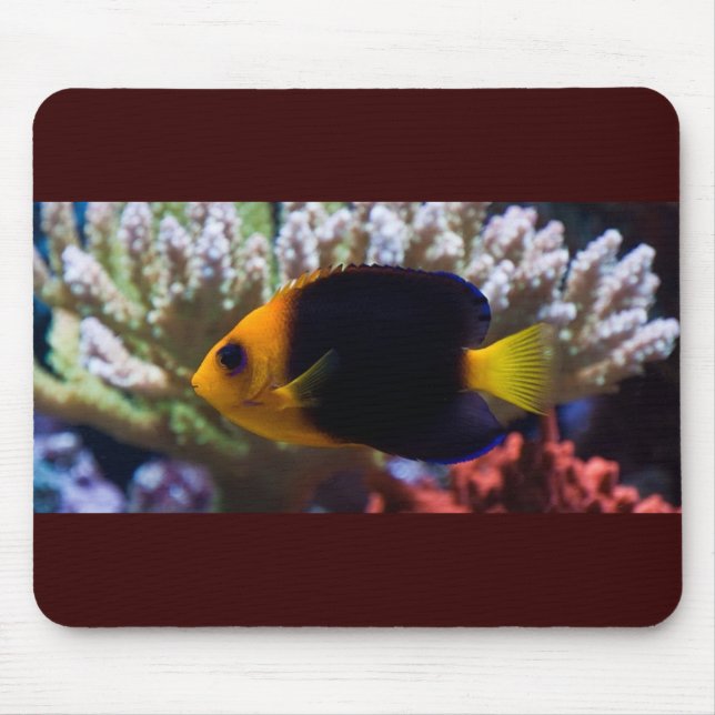 Riff-Ruhe Mousepad (Vorne)