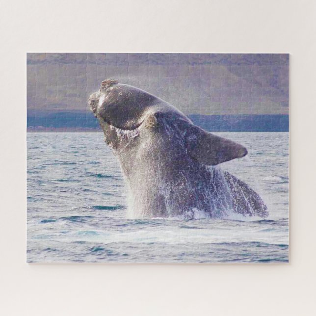 Right Whale Jigsaw Puzzle (Horizontal)