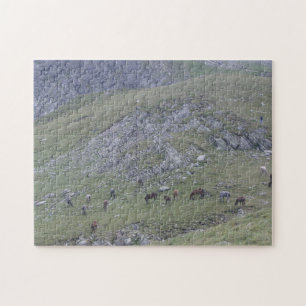 Rila Mountain Seven Wild Pferde Bulgarien Puzzle