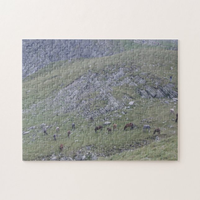 Rila Mountain Seven Wild Pferde Bulgarien Puzzle (Horizontal)
