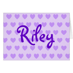 Riley im Lila