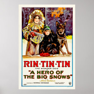 Rin Tin Tin - Der Wunderhund Poster