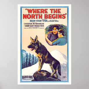 Rin Tin Tin - Wo der Norden beginnt Poster