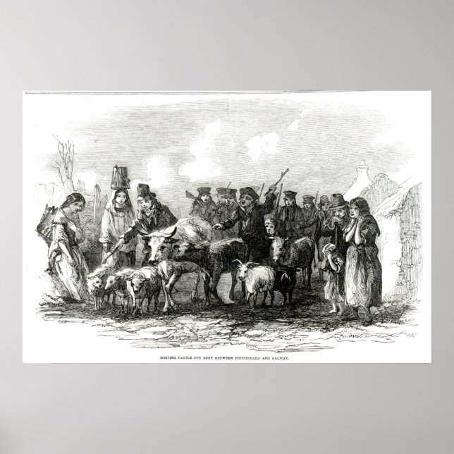 Rinder für Rent Poster (Vorne)