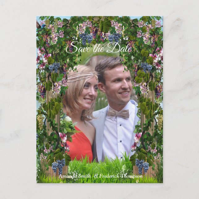 Rinder, Honeysuckles und Hummingbirds Ankündigungspostkarte (Vorderseite)