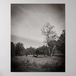 Rinder im Betrieb Poster