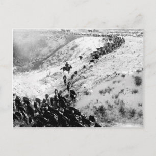 Rinder im Winter fahren. Postkarte