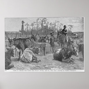 Rinder in Kansas Corral Poster