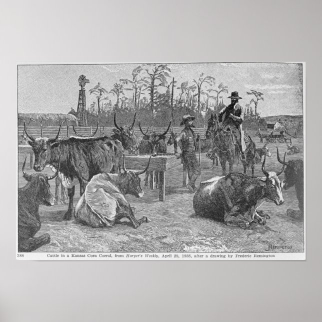 Rinder in Kansas Corral Poster (Vorne)