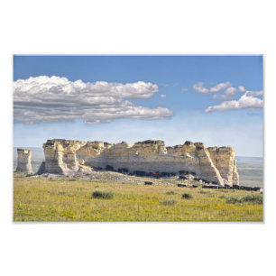 Rinder in Monument Rocks, Kansas Fotodruck
