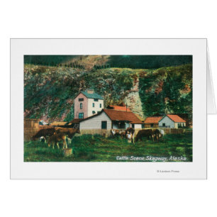 Rinder unter den Barnen SzeneSkagway, AK