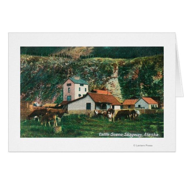 Rinder unter den Barnen SzeneSkagway, AK (Vorderseite (Horizontal))