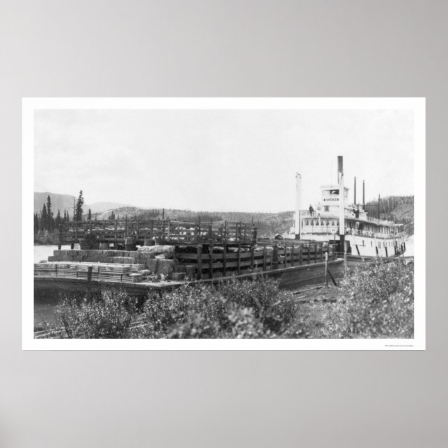 Rinderbarge Yukon River 1914 Poster (Vorne)