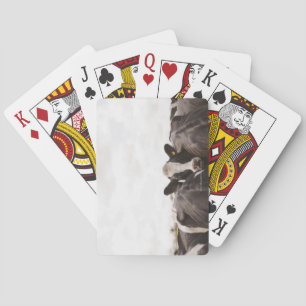 Rinderbestand und Himmel 2 Spielkarten