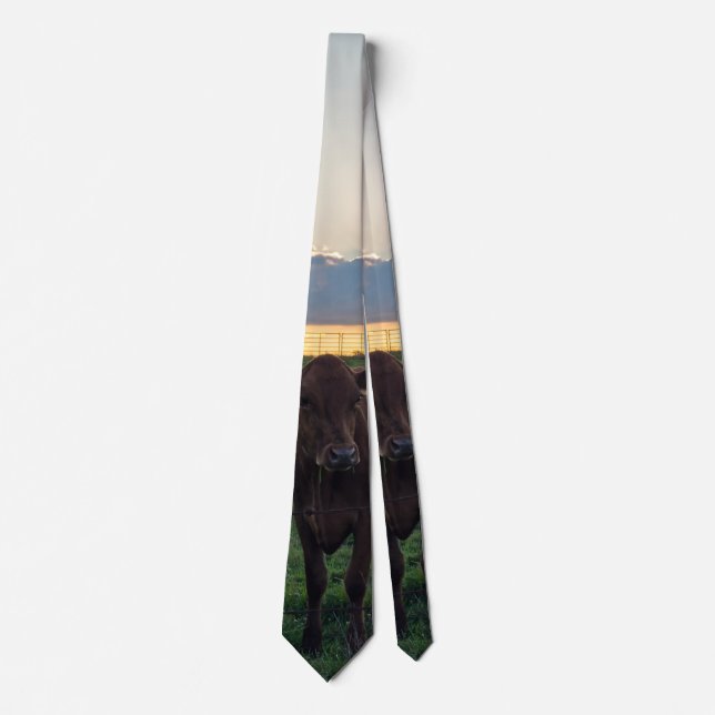 Rinderzucht Sunset Neck Tie Krawatte (Vorderseite)