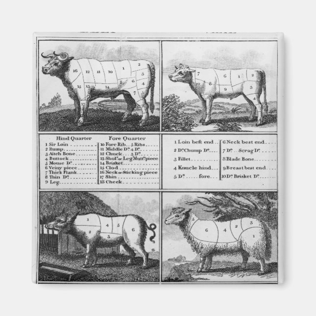 Rindfleisch, Schweinefleisch und Mutton, 1802 Magnet (Vorne)