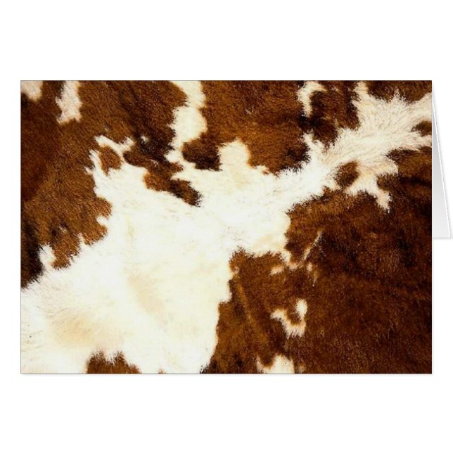 Rindleder-Druck-Cowboy oben! (Vorderseite (Horizontal))