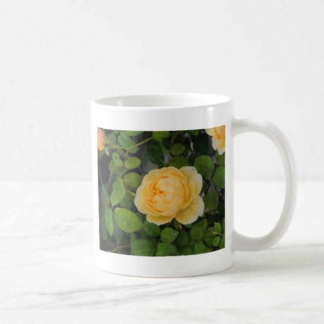 Rindropfen auf Gelben Rose Kaffeetasse (Rechts)