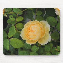 Rindropfen auf Gelben Rose Mousepad