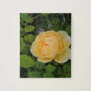 Rindropfen auf Gelben Rose Puzzle