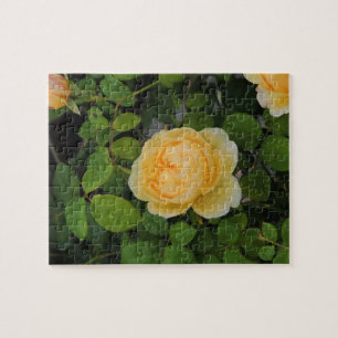 Rindropfen auf Gelben Rose Puzzle
