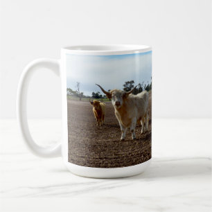 Rindvieh auf freiem Fuß: Highland-Rinder stehlen W Kaffeetasse