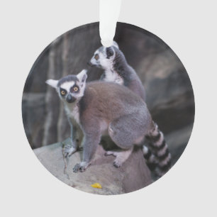 Ring-angebundener Lemur Ornament