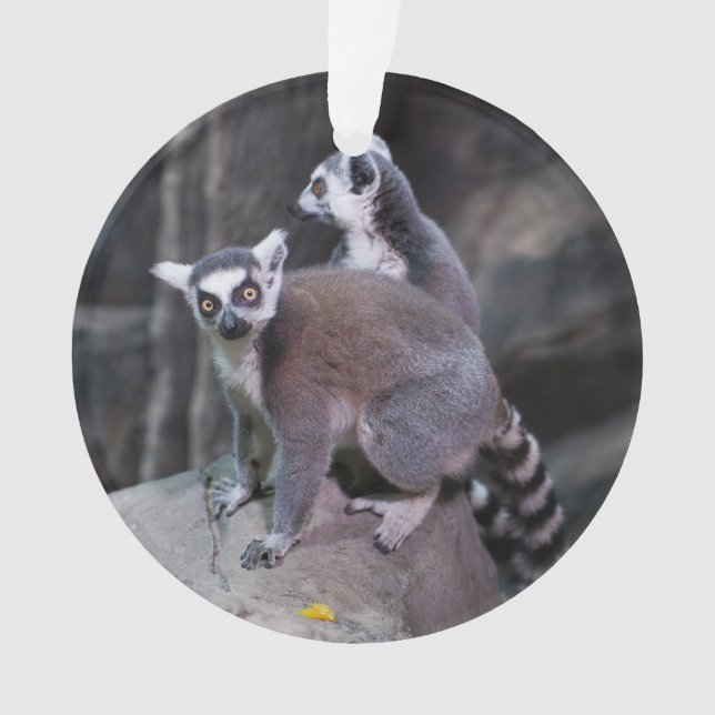Ring-angebundener Lemur Ornament (Vorderseite)