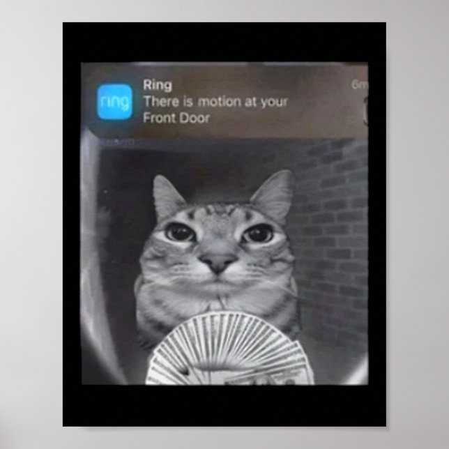 Ring Cat mit Motion Meme Poster (Vorne)