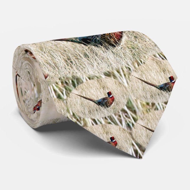 Ring-Hals-Fasan in der Wiese Krawatte (Gerollt)